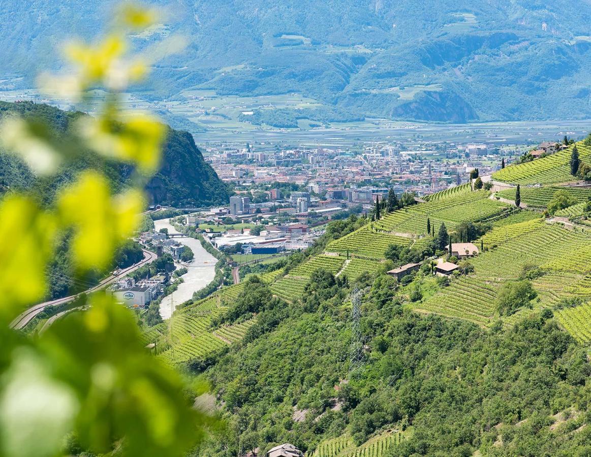 Weingut Schmid Oberrautner Apartment Suites Bolzano Exteriör bild